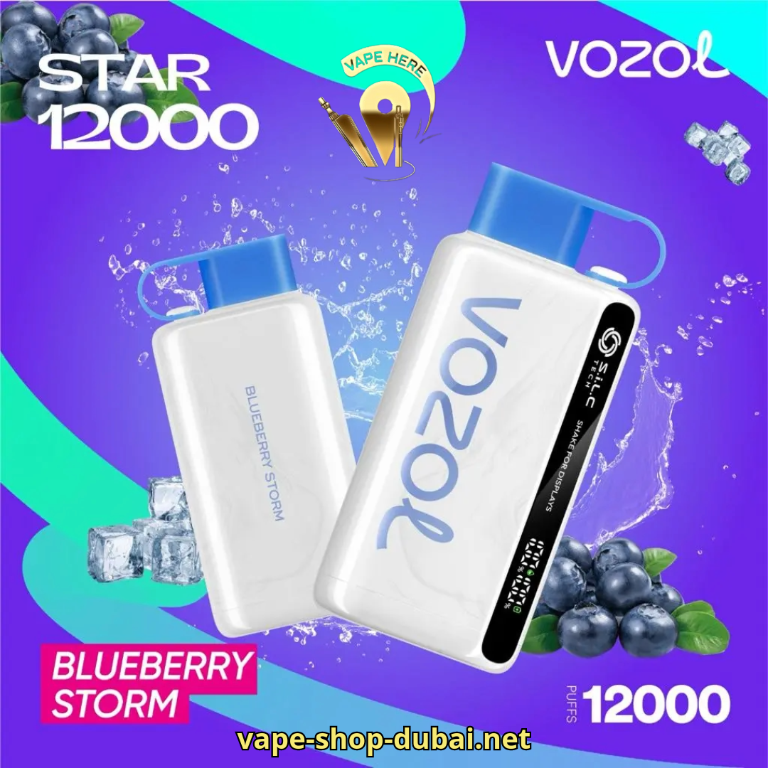 VOZOL STAR 9000/12000 PUFFS DISPOSABLE VAPE Blueberry Storm UAE Al Ain
