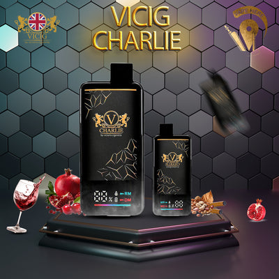Vicig CHARLIE 15000 Puffs Disposable Vape 50mg & 20mg UAE Abu Dhabi